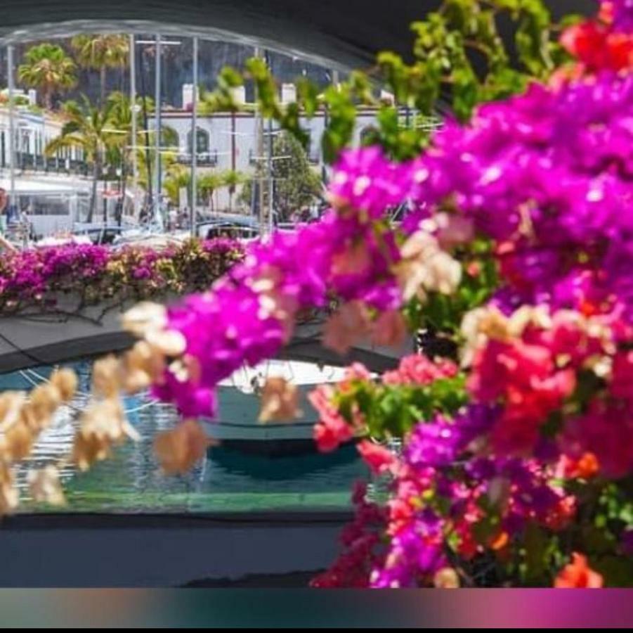 Dailos' Home Puerto De Mogan Dış mekan fotoğraf